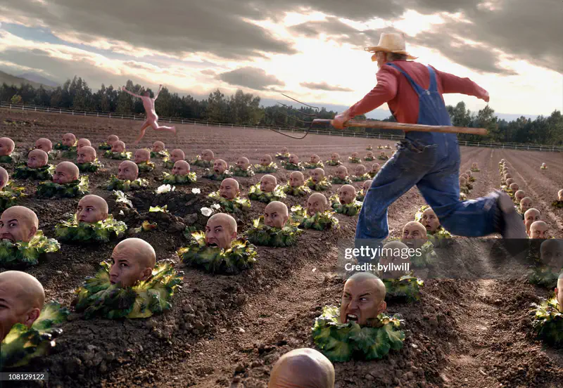 gettyimages-108129122-2048x2048.jpg